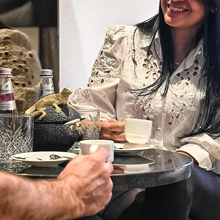 酒店 Trip Bermuda 苏黎世