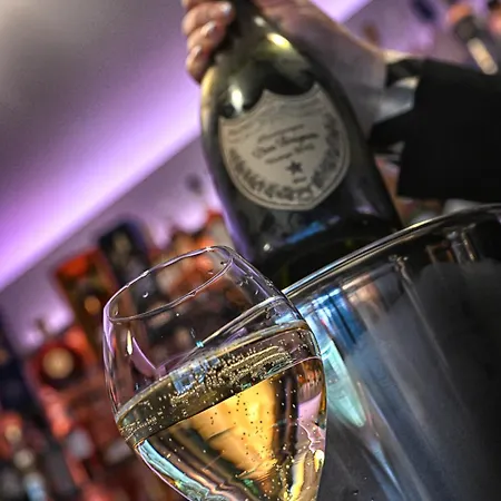 Trip Bermuda 苏黎世