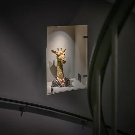 Trip Bermuda Отель